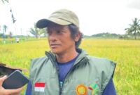 Petani Nunukan, Kalimantan Utara, Konding mengeluhkan mahalnya harga solar yang berdampak pada biaya produksi dan sulitnya izin membeli solar bersubsidi, Rabu (29/10/2025). (Foto : TribunKaltara.com/Febrianus Felis)